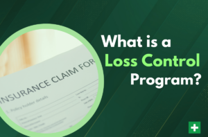 what is a loss control program?